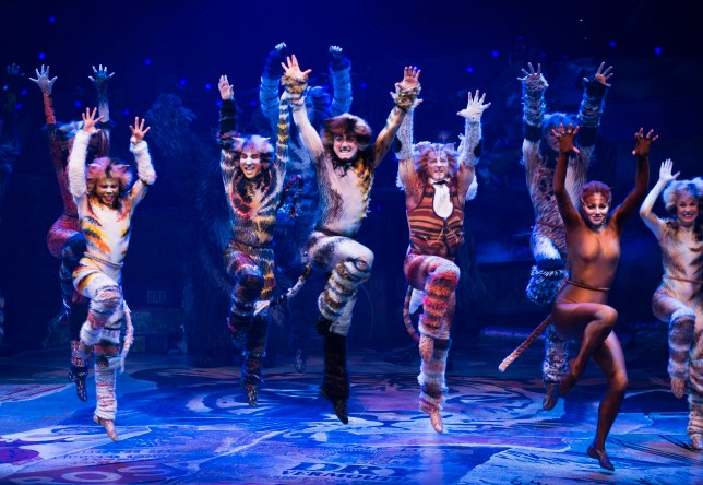 Cats at Tennessee Performing Arts Center